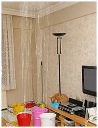 Miami Emergency Restoration Miami, FL 786-315-9983 - sb-services-01