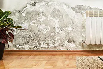 Miami Emergency Restoration Miami, FL 786-315-9983 Miami Emergency Restoration Miami, FL 786-315-9983